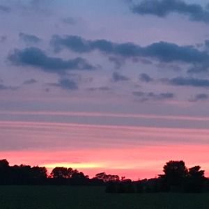 Meet your Posher, Bruce